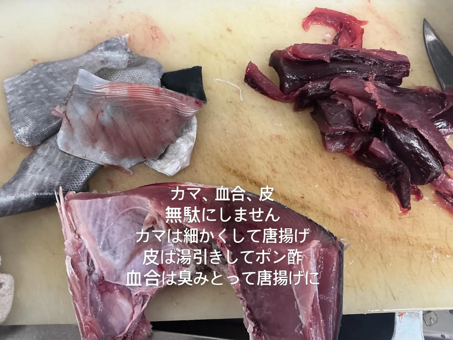 おはようございます