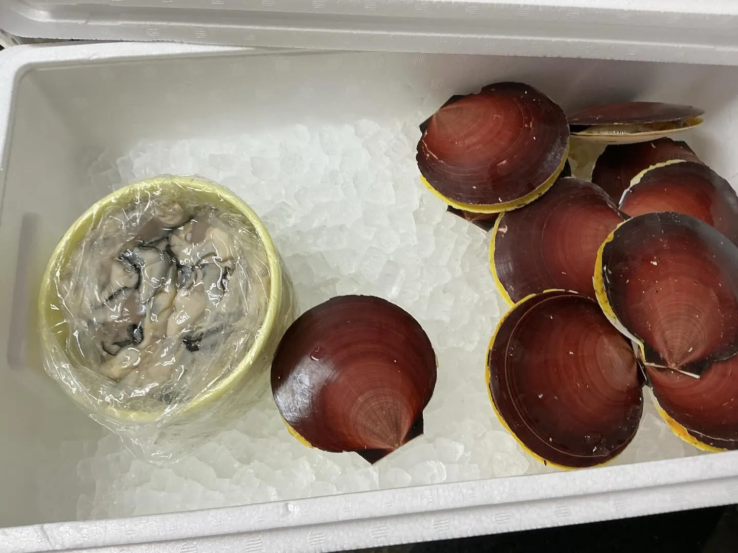 おはようございます