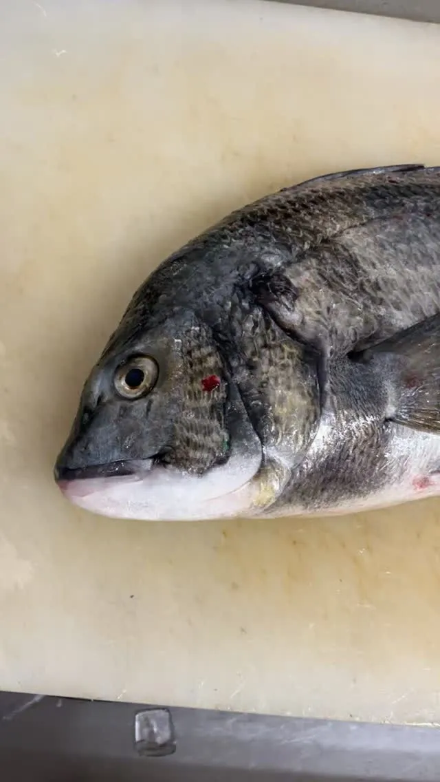 おはようございます