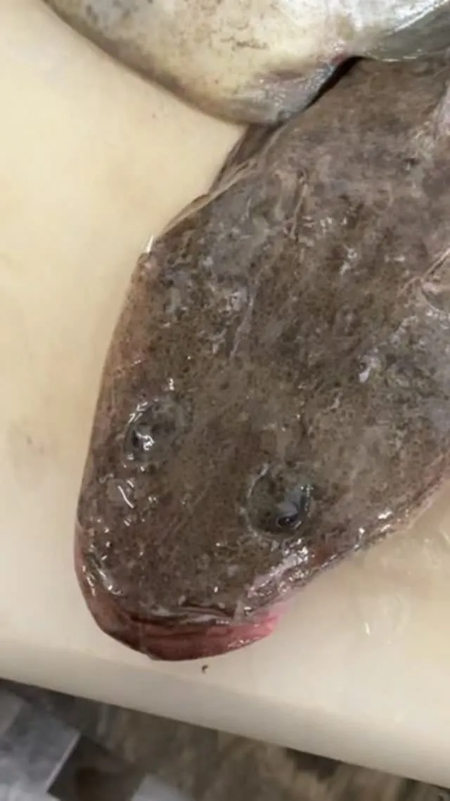 おはようございます