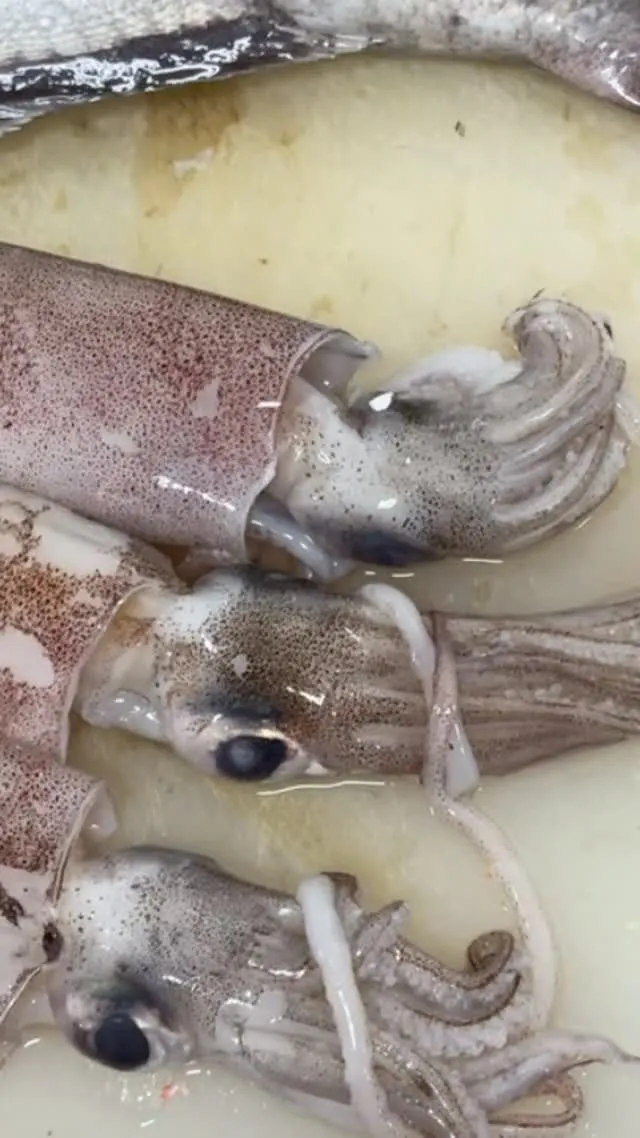 おはようございます