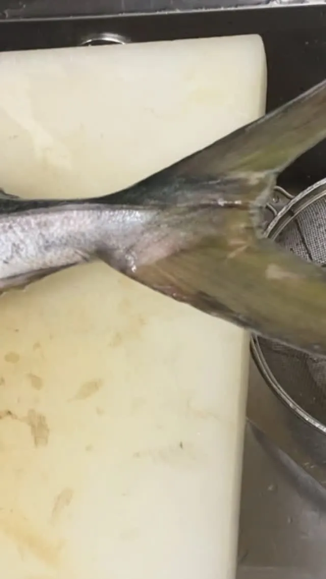 おはようございます