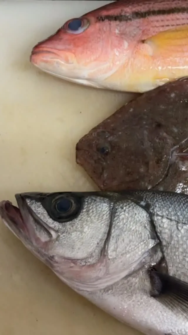 小田原便届きました