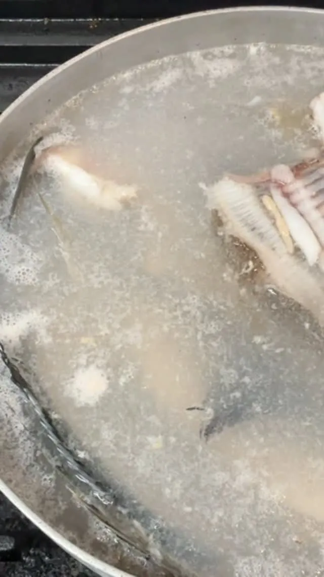 おはようございます