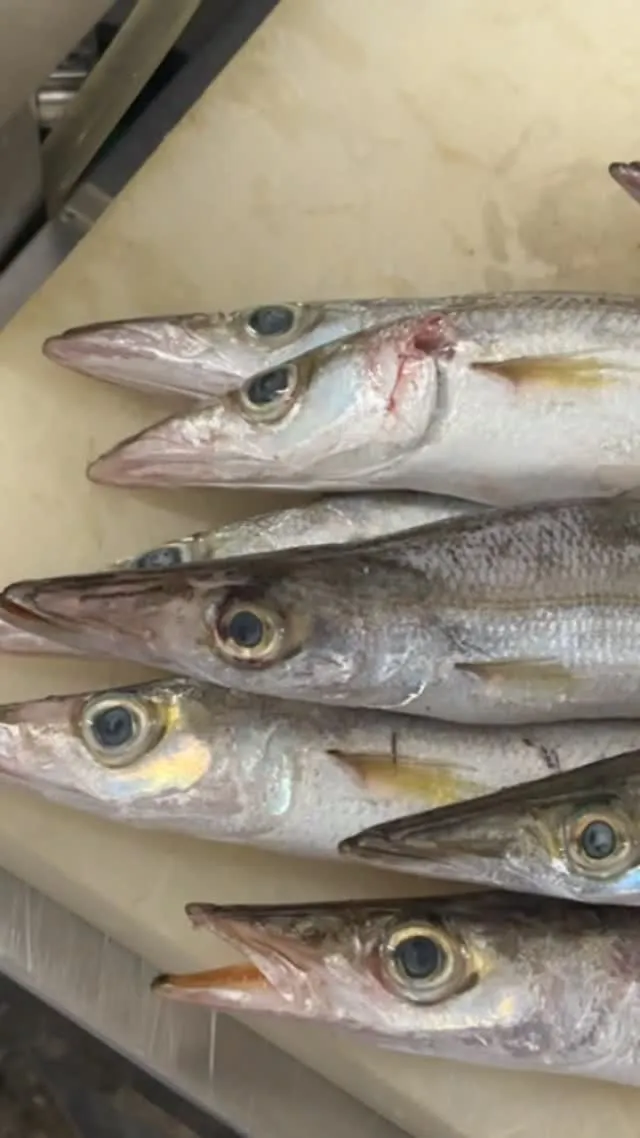 おはようございます