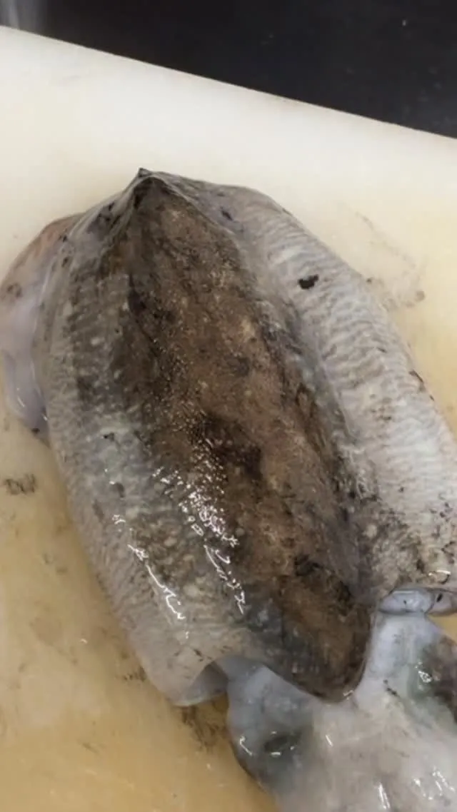 おはようございます