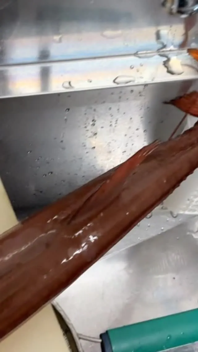 おはようございます