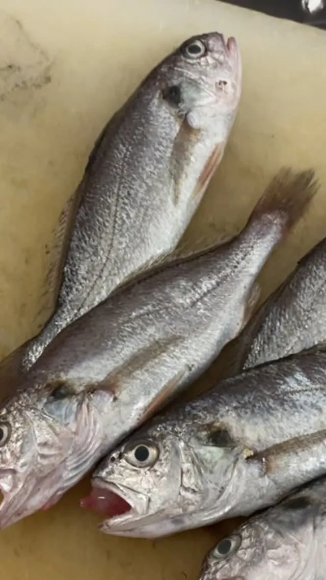 おはようございます