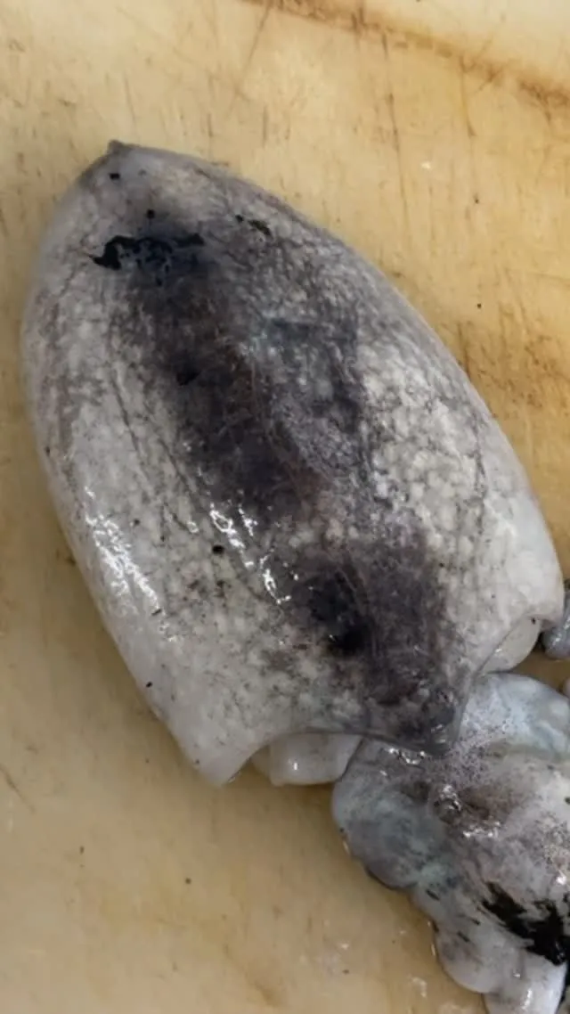 おはようございます