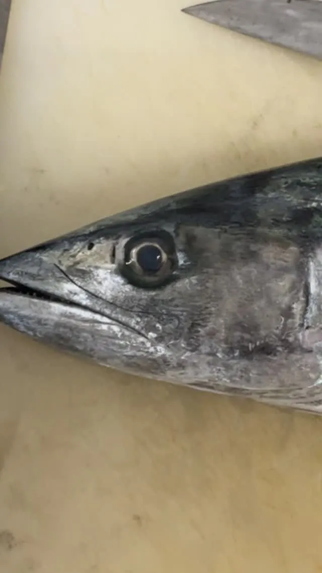 おはようございます