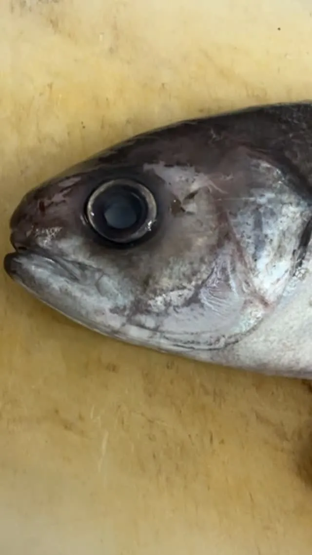 おはようございます