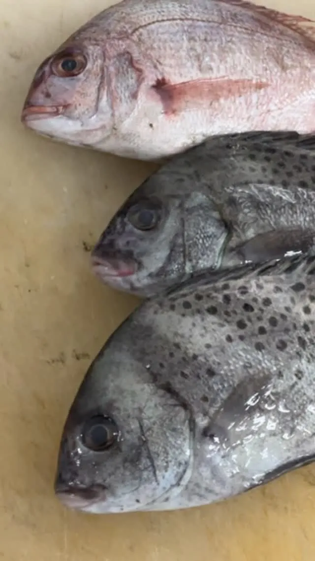 おはようございます