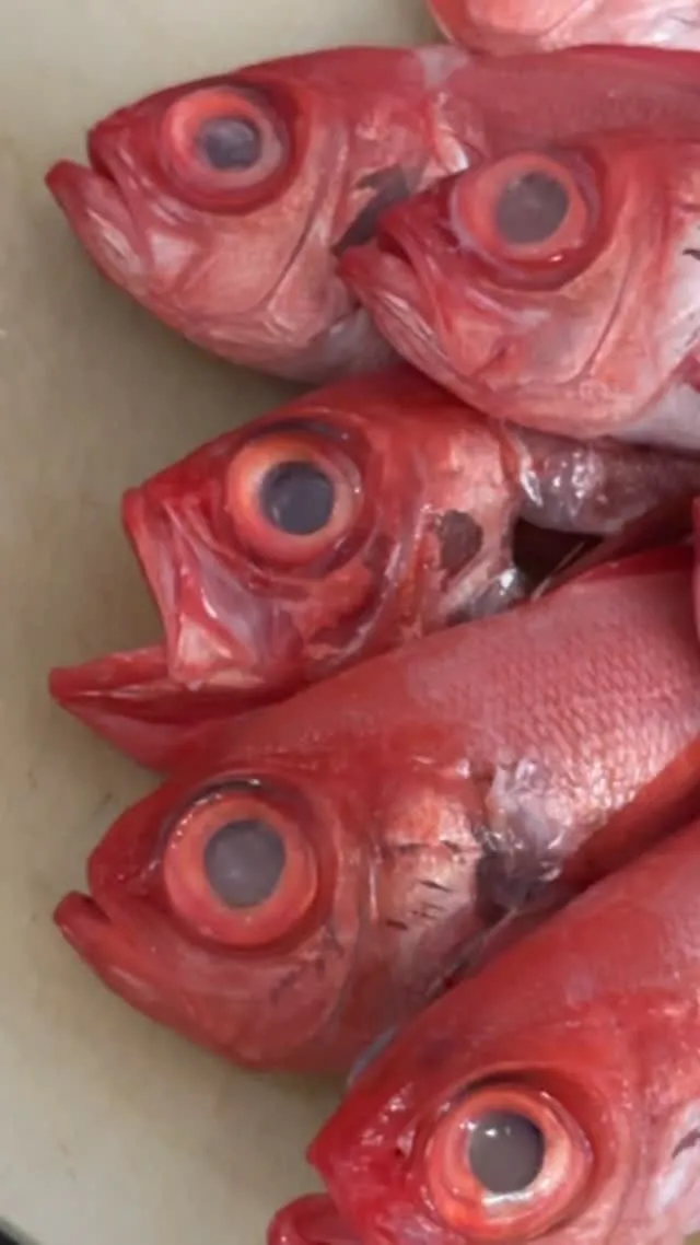 おはようございます