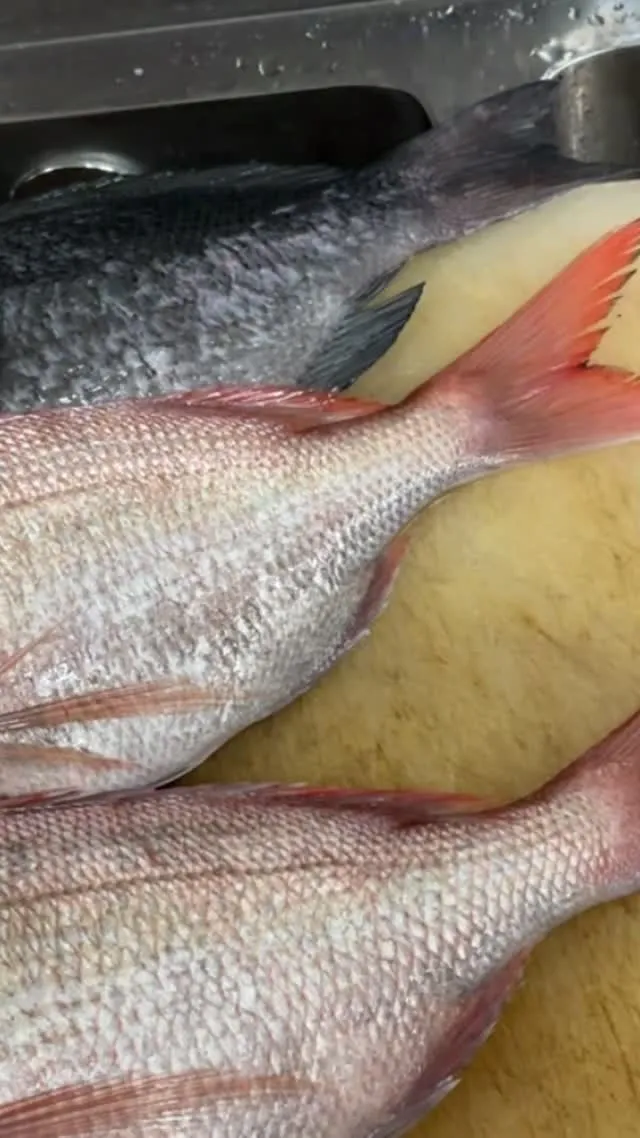 おはようございます