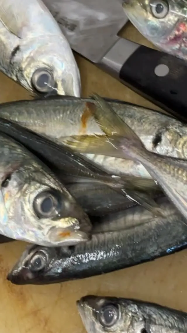 おはようございます