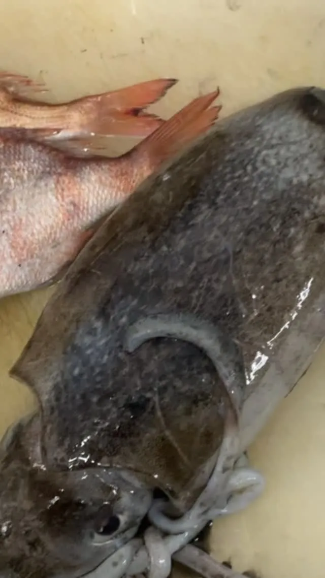 おはようございます