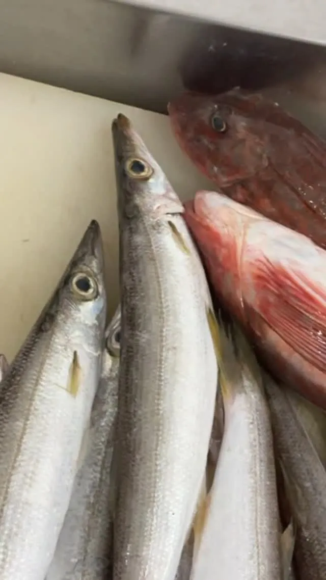 おはようございます