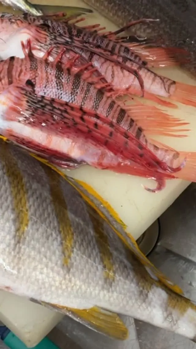 はいー到着いたしました