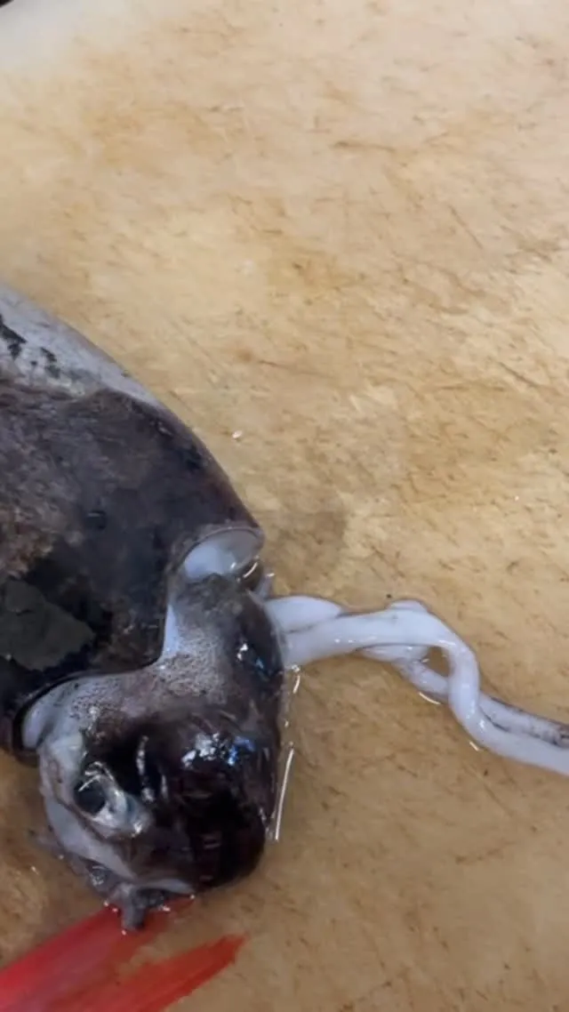 おはようございます