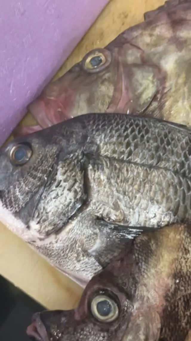 今日も到着小田原便