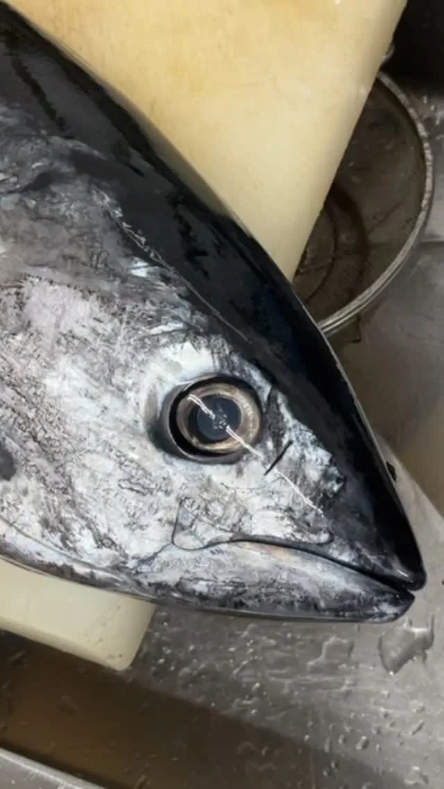 おはようございます