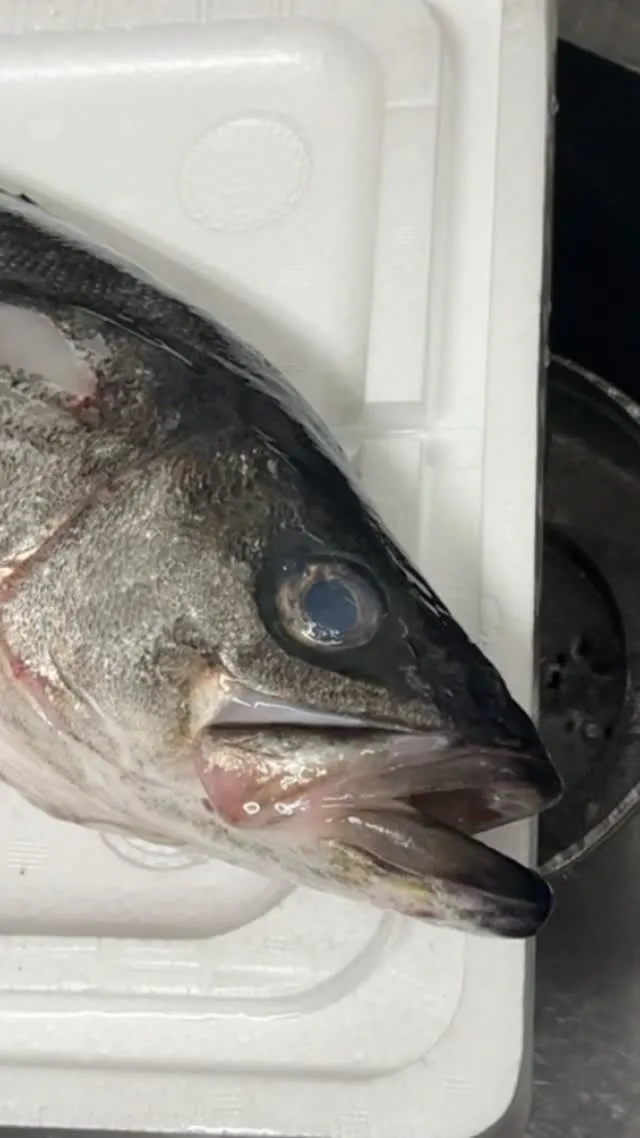 おはようございます