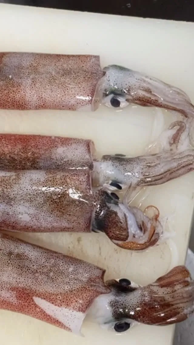 おはようございます