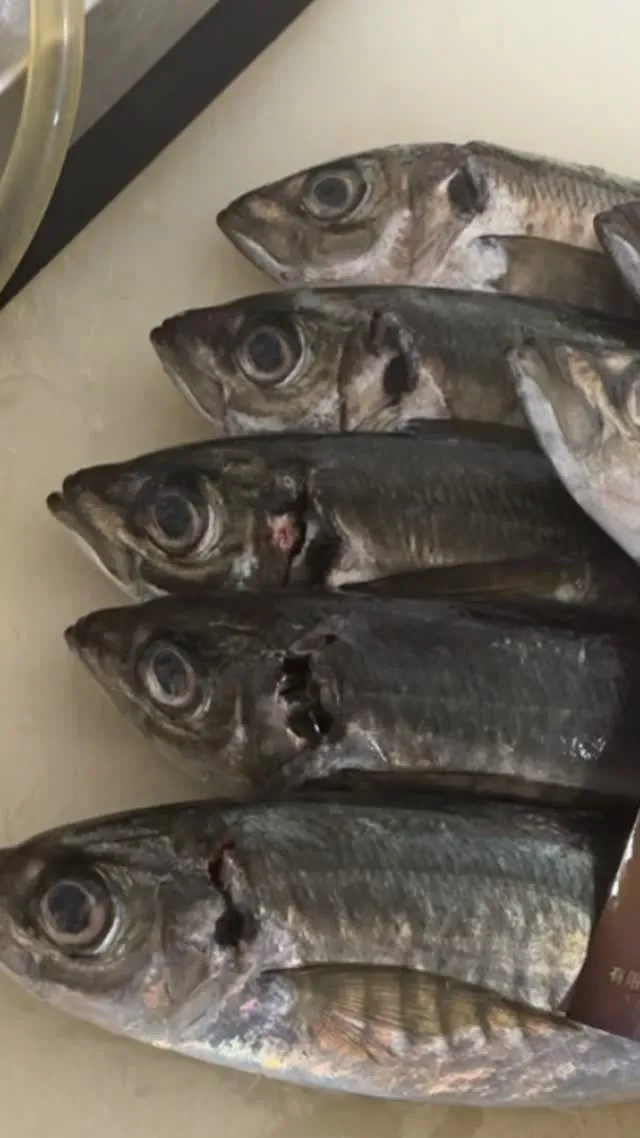 おはようございます