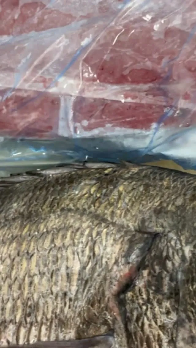 おはようございます本日は朝から雨