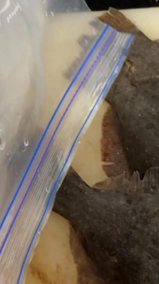 おはようございます