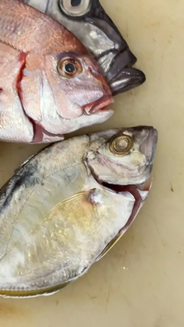 おはようございます