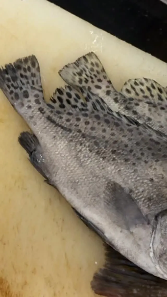 おはようございます