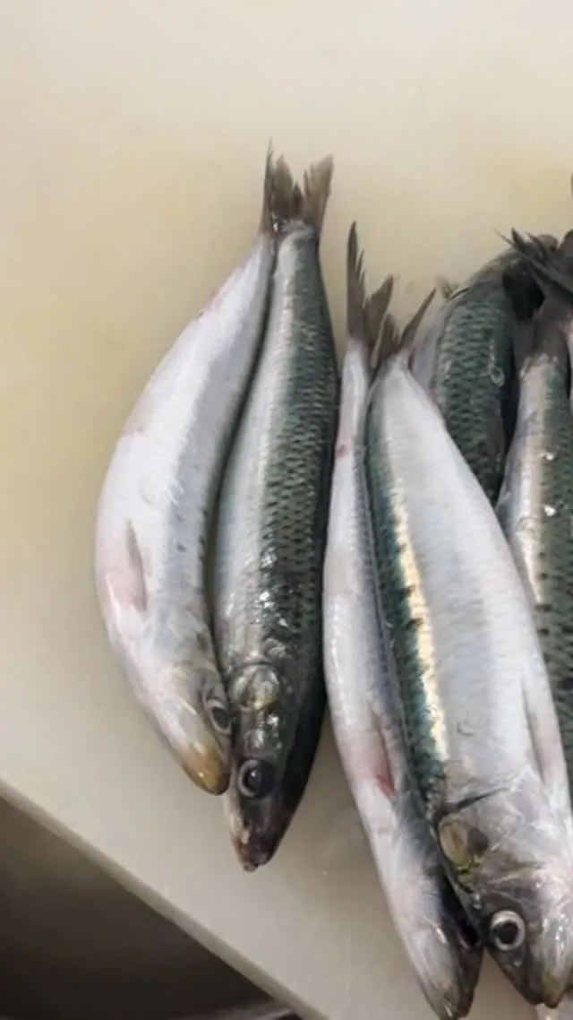 おはようございます