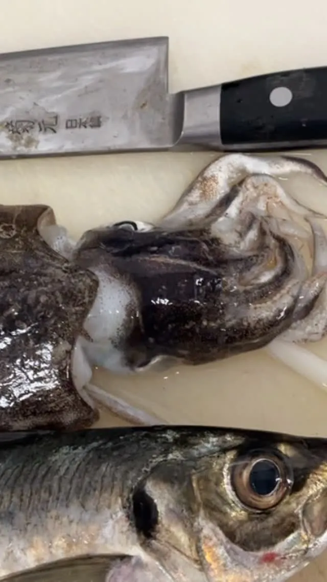 おはようございます