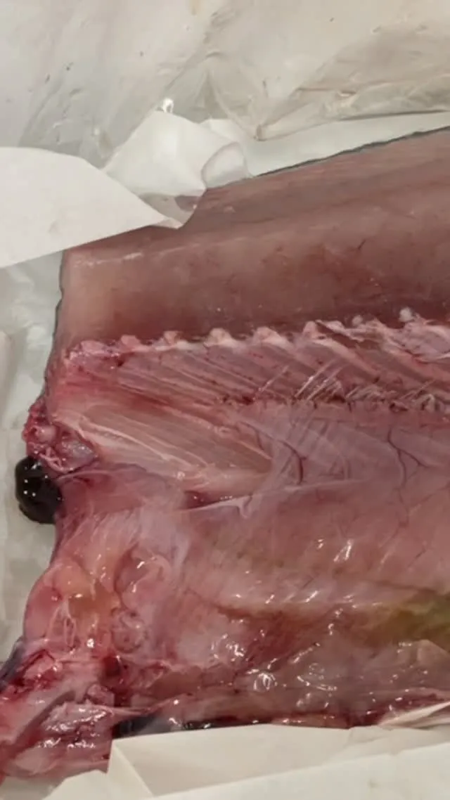 おはようございます