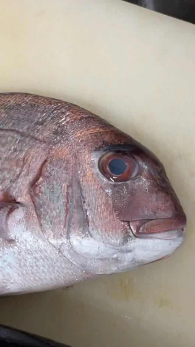 おはようございます