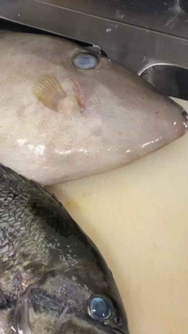 おはようございます