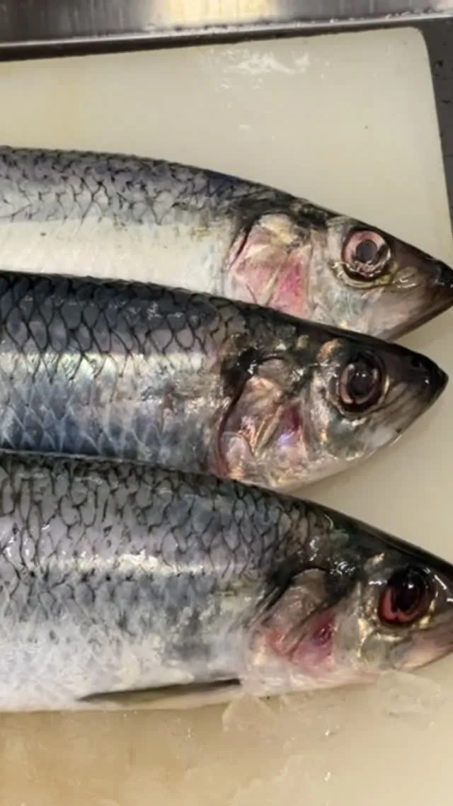 おはようございます