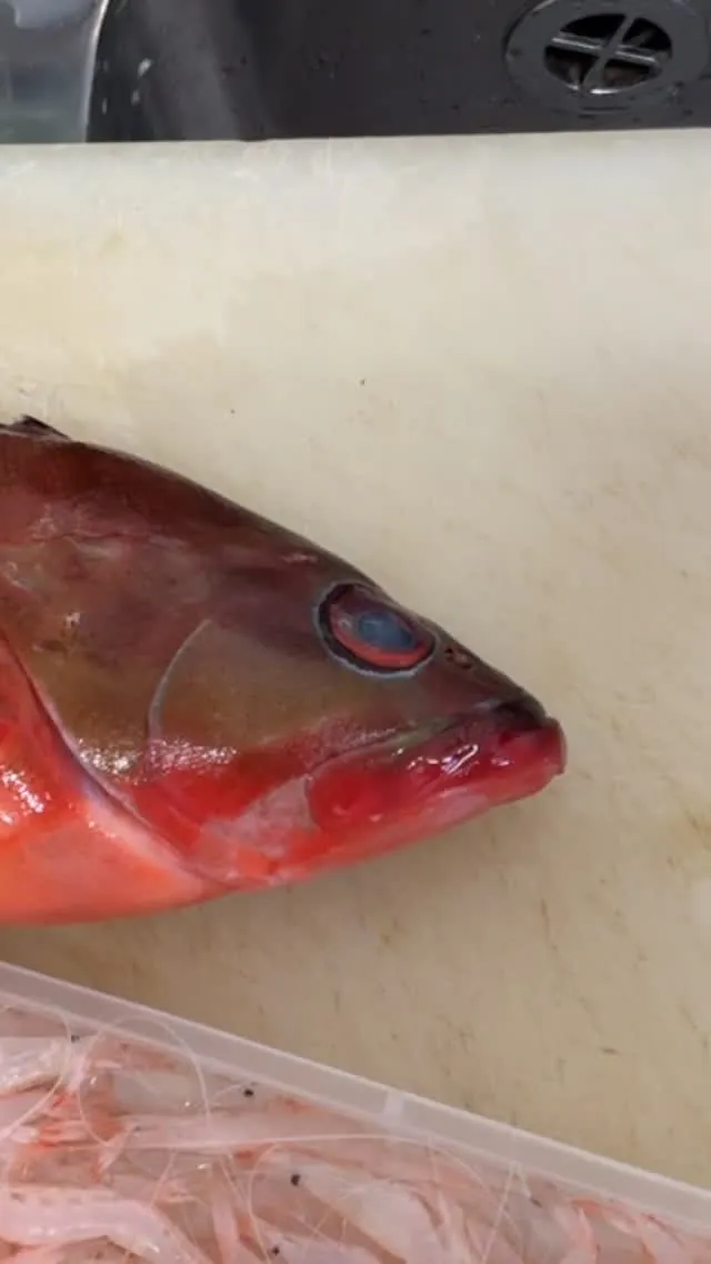 おはようございます