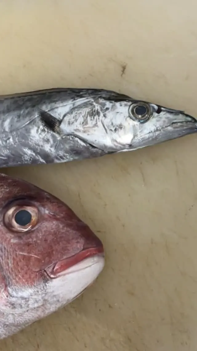 おはようございます